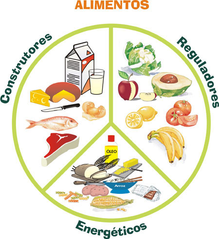 alimentos vegetais
