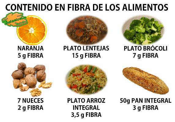 dia da nutrição