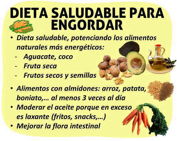 dieta para engordar