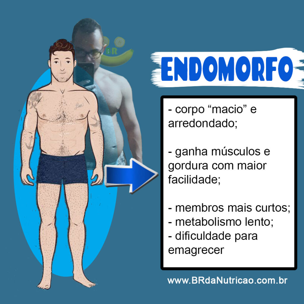 endomorfo dieta