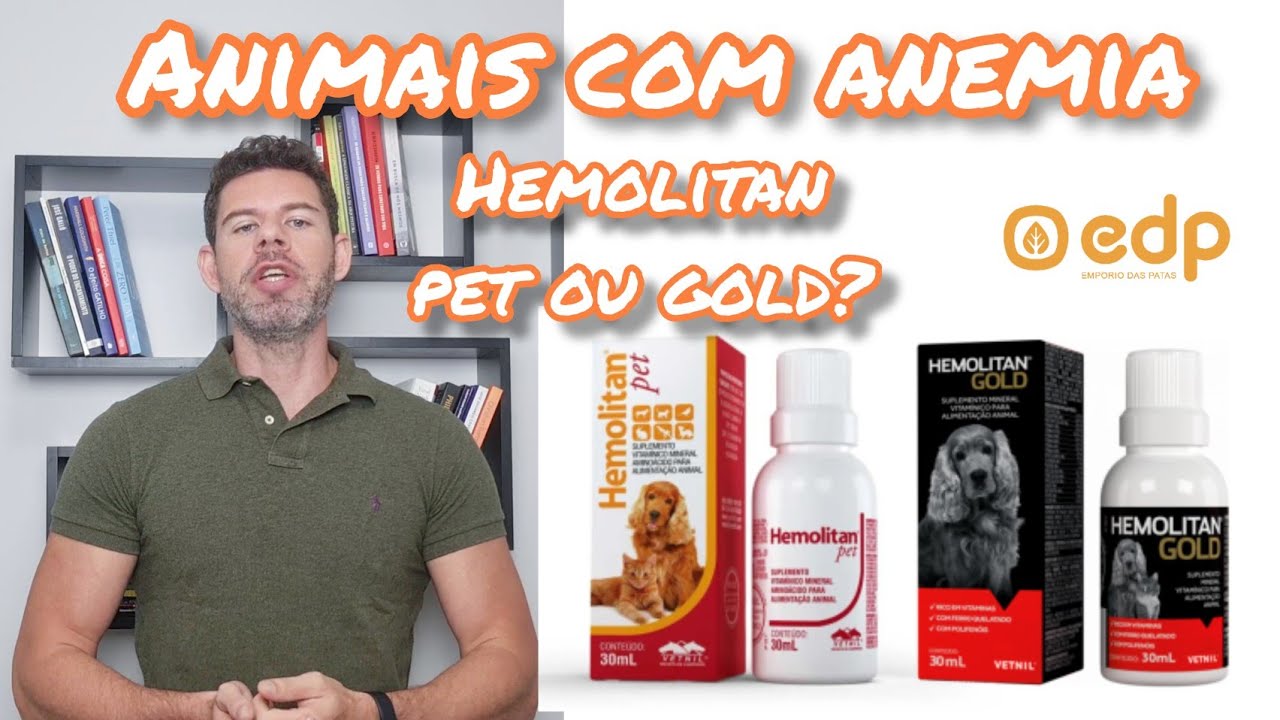 Tratamento para anemia em cães e gatos: Hemolitan Vetnil.